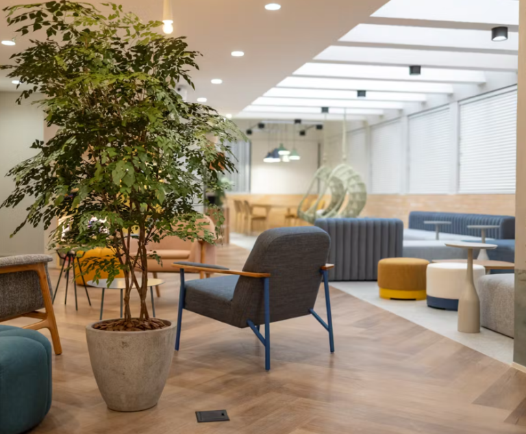 recepção do consultório com poltronas azul, plantas naturais verdes, piso laminado escuro e puffs claros, ambiente iluminado
